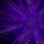 Dimensional Rift