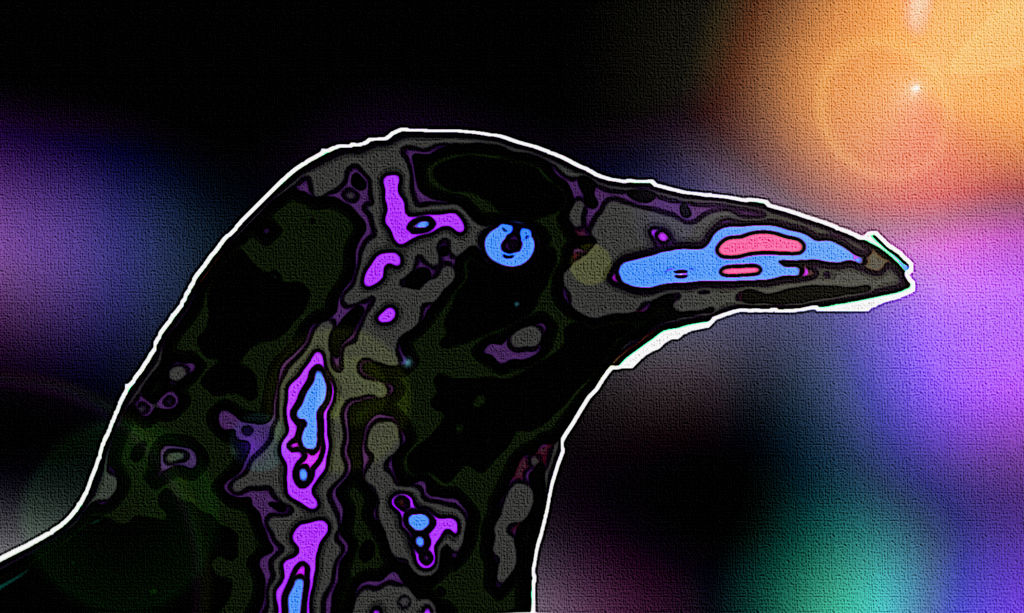 Raven guide by Robotlizzzrd on DeviantArt