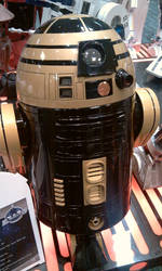 Gold and Black R2