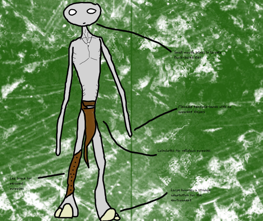 Nob Anatomy by Dak-Hamee13 on DeviantArt