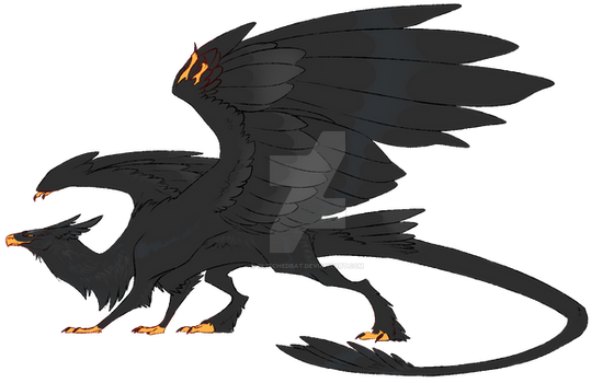 ADOPT: Black Dragon: SOLD