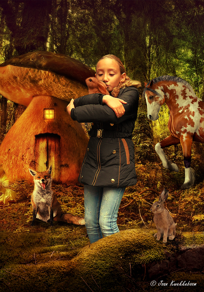 Chanella and the animals