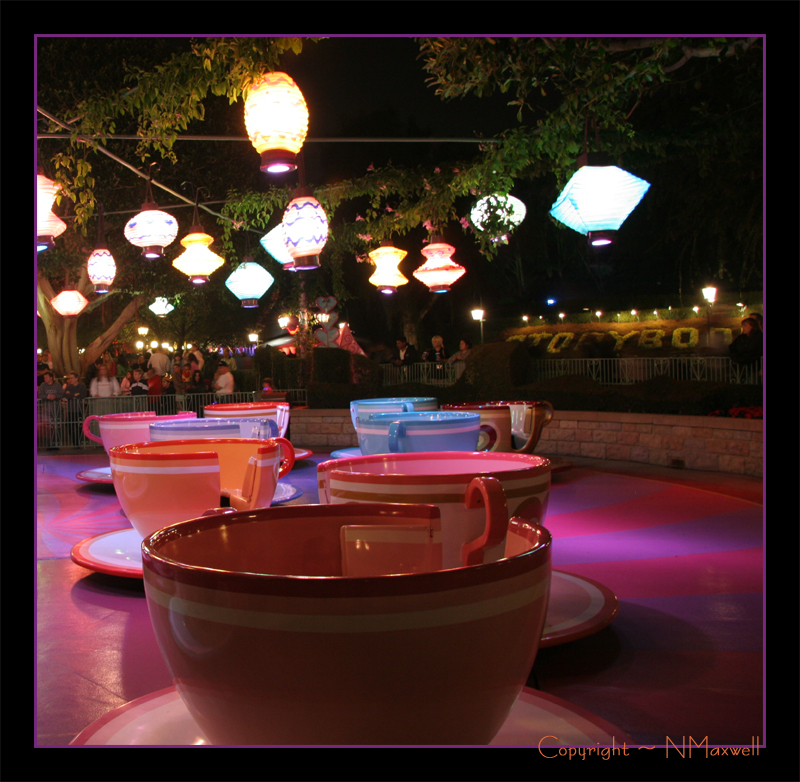 Teacups Waiting