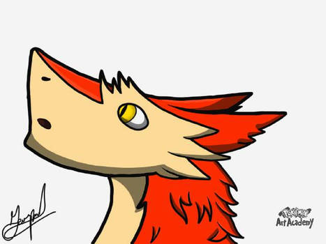 ZokoTheSergal!