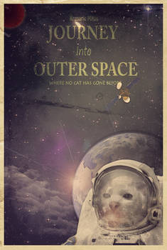 Spacecat Poster