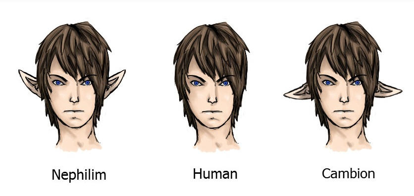 Nimble Character Races Races by mccartimusprime on DeviantArt
