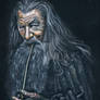 Gandalf The Grey (Hobbit/LOTR) - Sir Ian McKellen