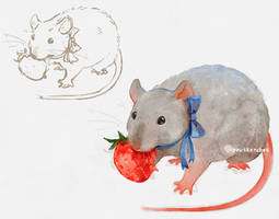 Rat with Strawberry
