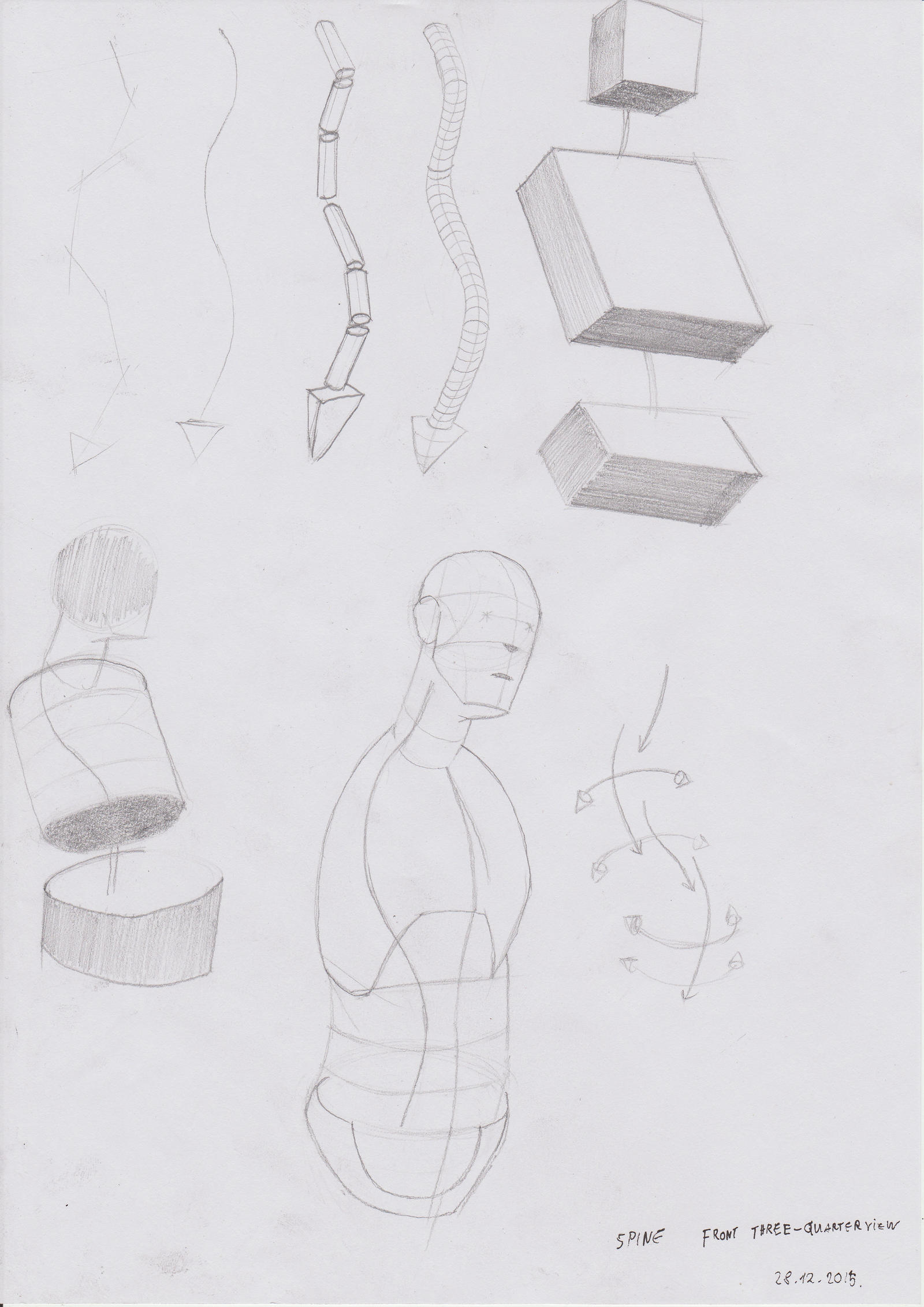 Lithe Figure Structure Figure structure study #1 by Andrix9743 on DeviantArt