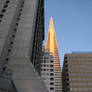 transamerica