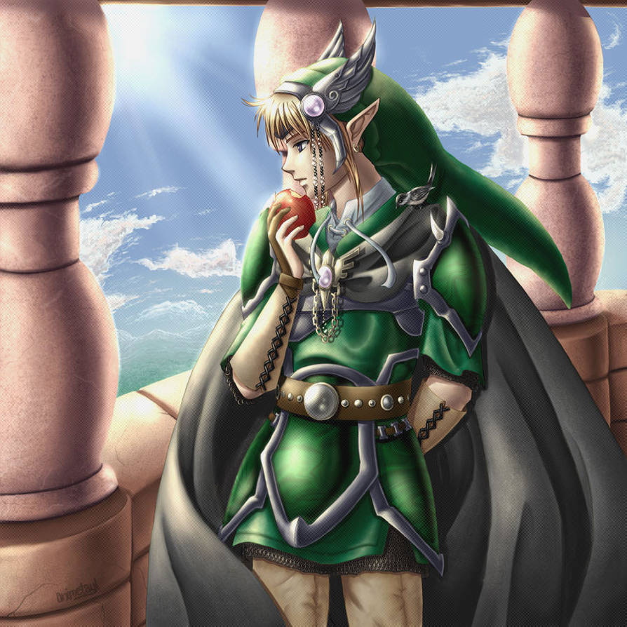 Zelda: Days and Knights by animetayl