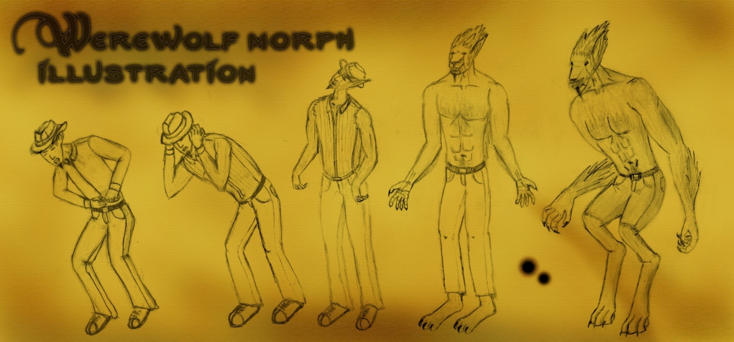 werewolf morph illustration