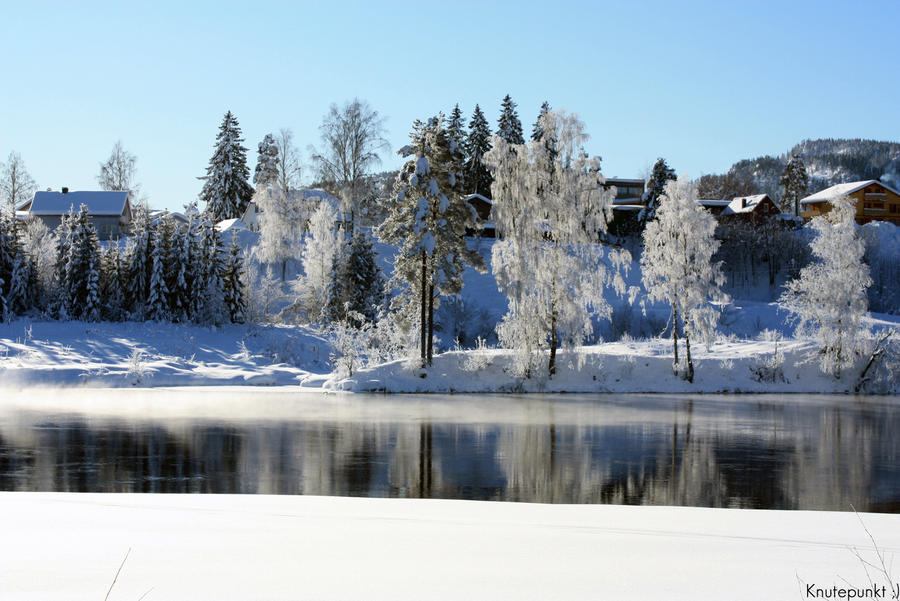 Norwegian Winter