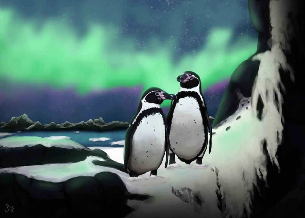 Penguins in northern lights