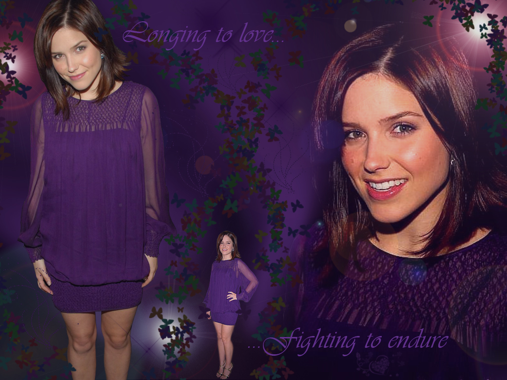 Sophia Bush Longing to Love