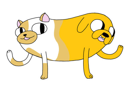 CatDog