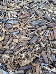 Wood Chips Texture: close