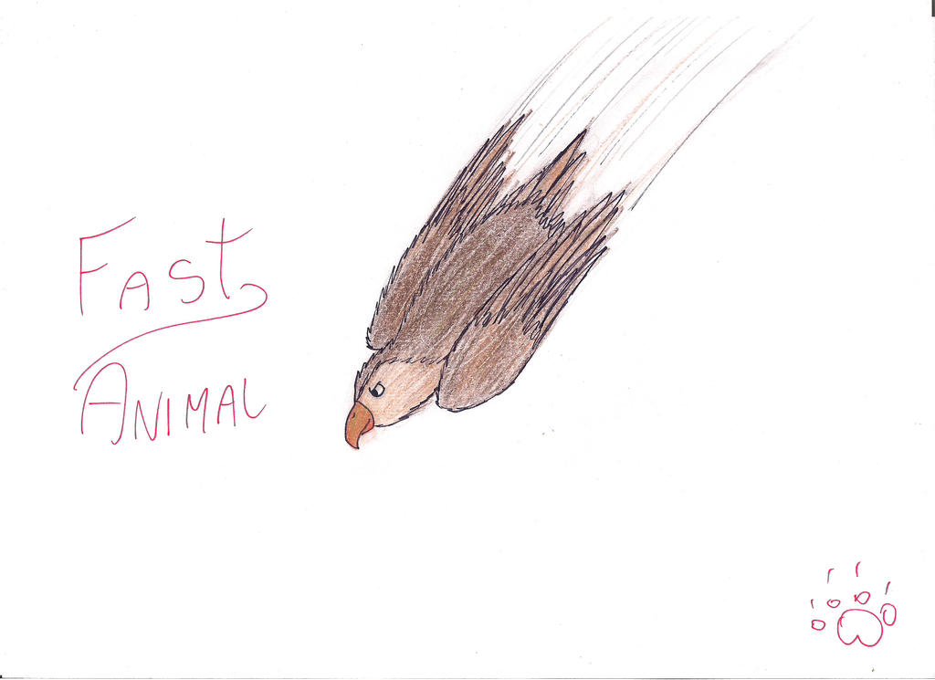 [Draw your username challenge] Fast Animal