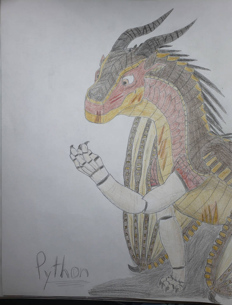 Python Head and Shoulders by Diemand on DeviantArt