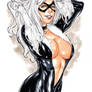 black cat