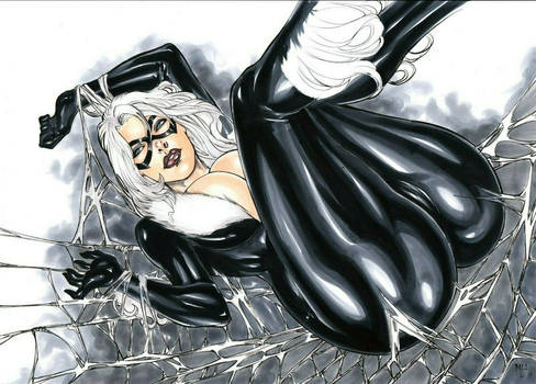 black cat