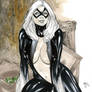 black cat