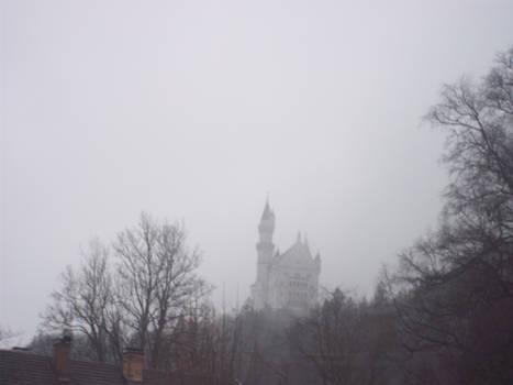 the castle in the fog