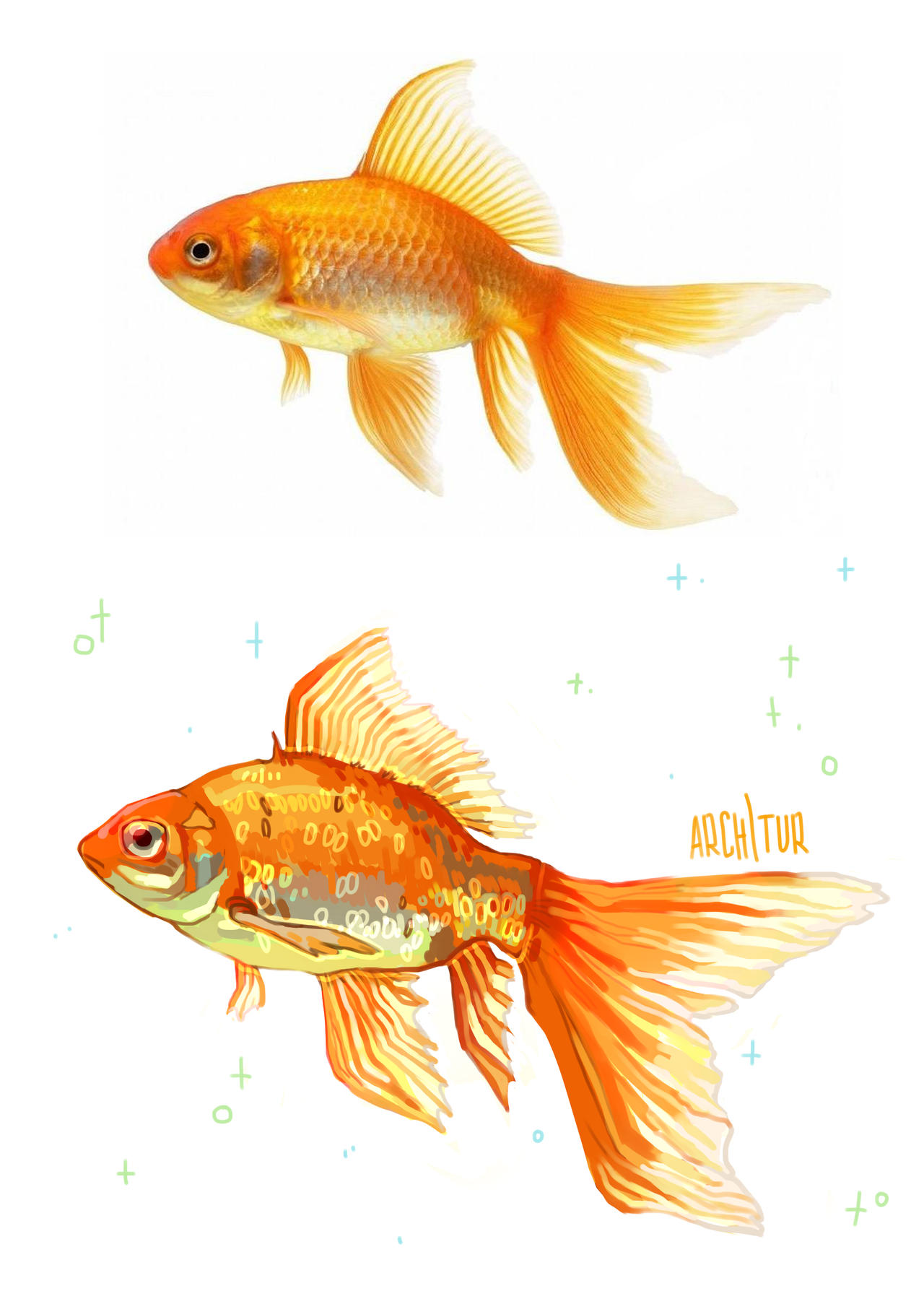 da fish by Arch-tur on DeviantArt