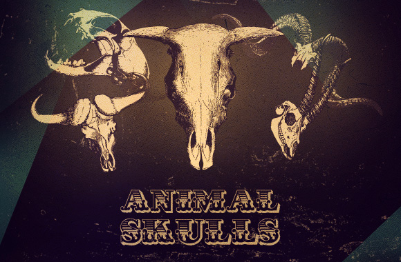 WG Animal Skull Vectors