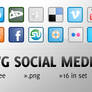 WG Social Media Icons
