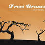 WG Trees Branches vectors