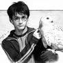 Harry Potter and Hedwig