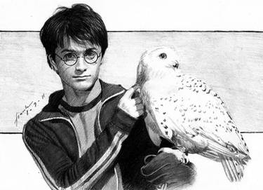 Harry Potter and Hedwig