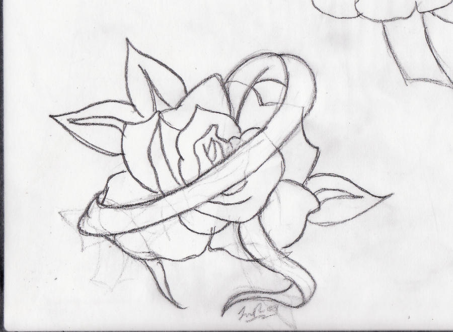Rose Ribbon Tattoo by PORKY on DeviantArt