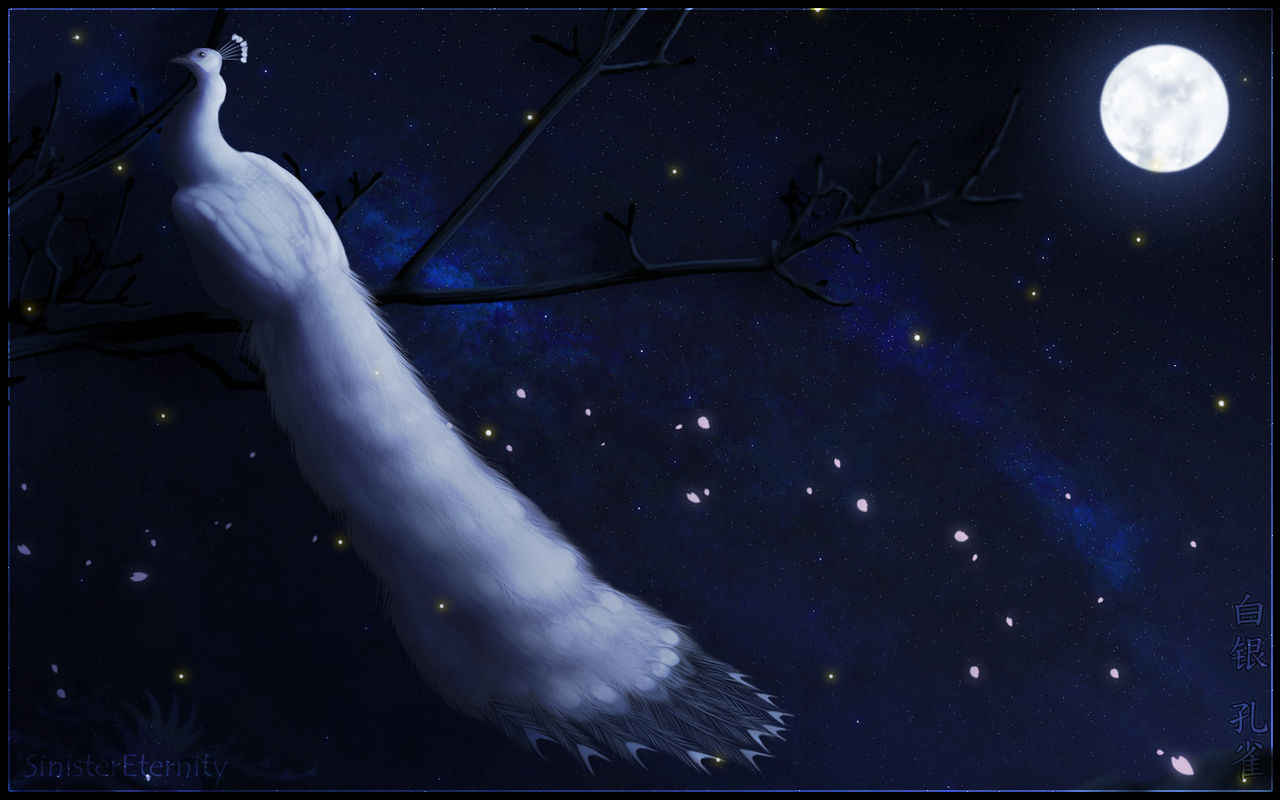 ++ White Peacock ++ by SinisterEternity