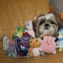 My Dog and Pokemon's