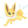 Jolteon babu