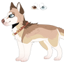 Husky design