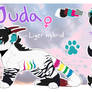 Juda reference sheet for taikaraita