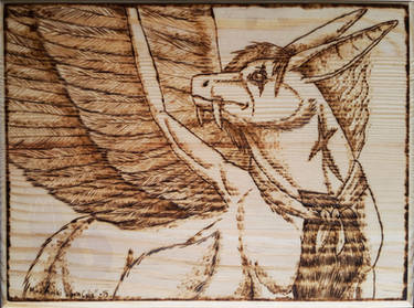 Explore the Best Falgor Art | DeviantArt