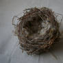 The Empty Nest