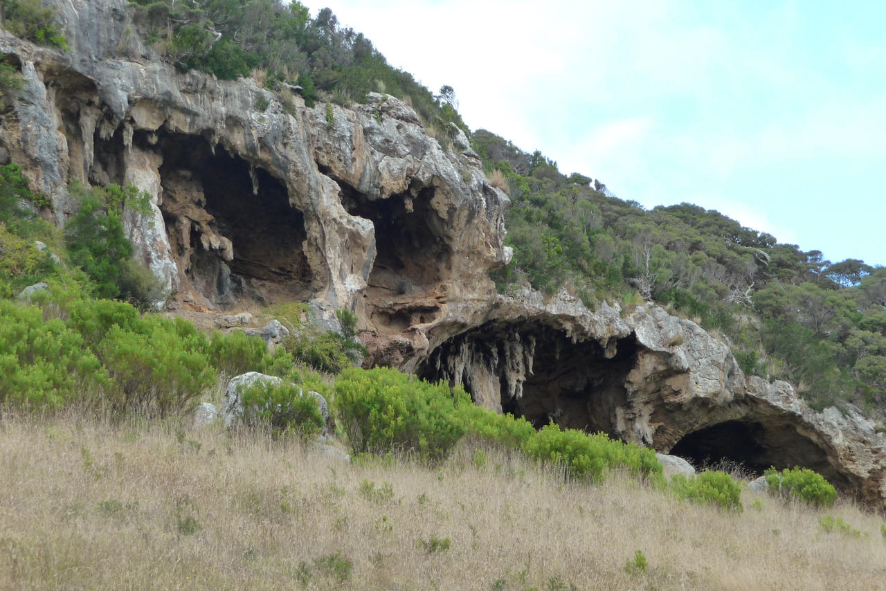 Bridgewater Caves 19