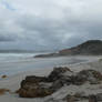 Shelly Beach: Redux 14