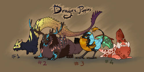 Dragon puppies adopt