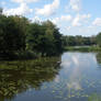 Landscape in Aqua Zoo Friesland