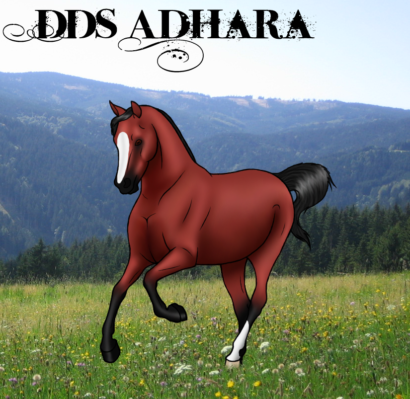 Adhara