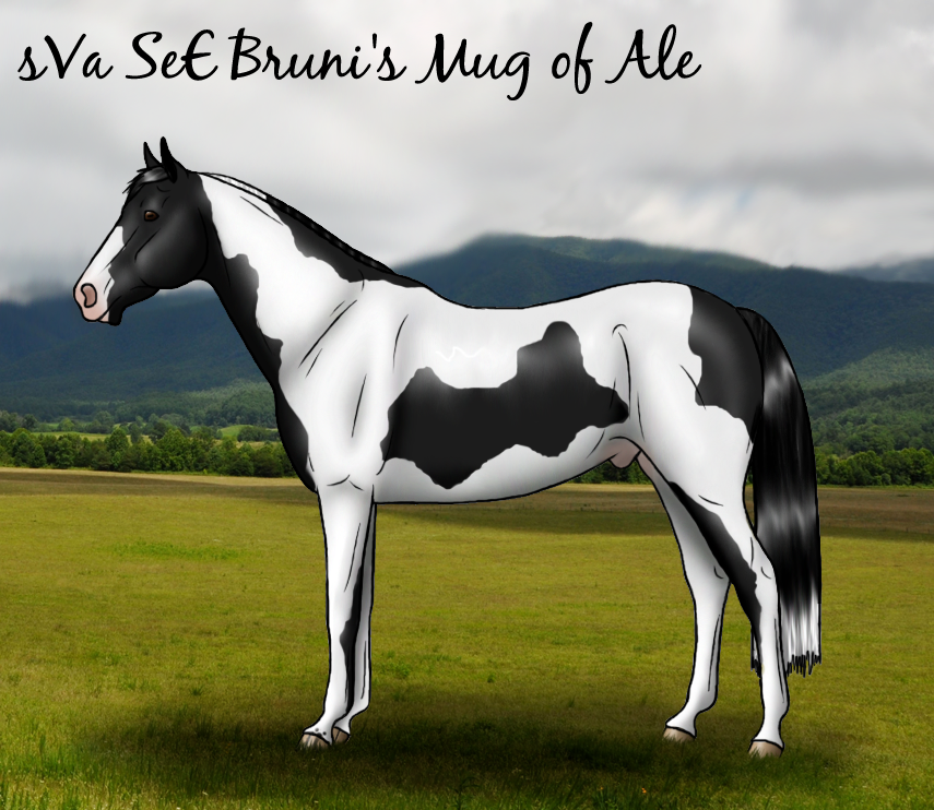 sVa SeE Bruni's Mug of Ale