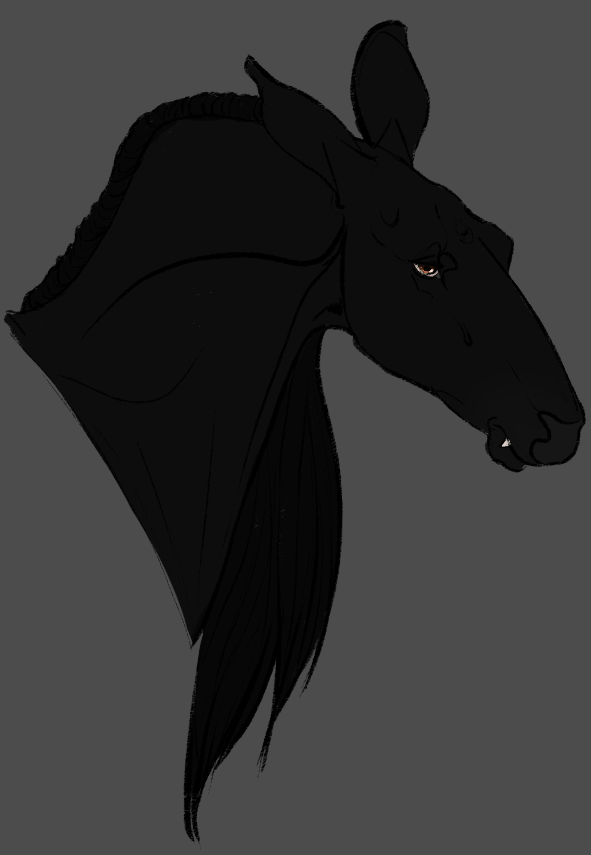 Sagira I Doe I Herd Member