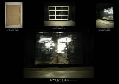 Love Lost 2012 (evolution)