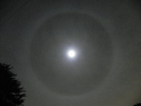 Halo round the Moon